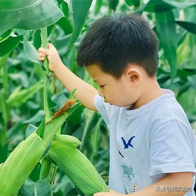 昆明野鸭湖生态科普研学基地9月亮相，让我们一起探秘自然吧！