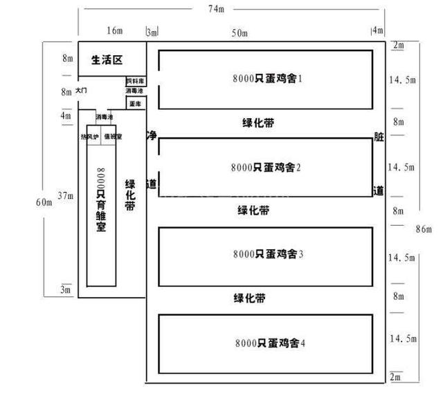 蛋鸡养殖第一篇：蛋鸡场的选址与布局规划