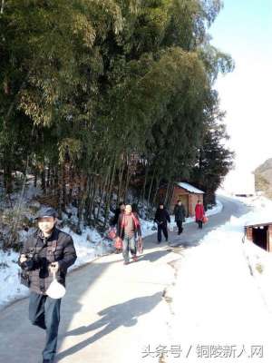 铜陵养殖兔子(「铜陵视角」踏雪寻春 徒步“云崖寺”)