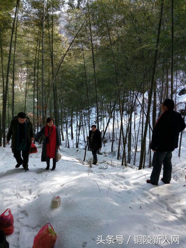 「铜陵视角」踏雪寻春 徒步“云崖寺”