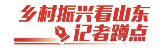 乡村振兴看山东·记者蹲点丨荣成：“两条鱼”游出百亿产业链