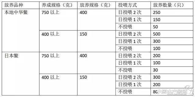 用养殖模式图和数据说话，亩效益10000+｜稻田里养甲鱼