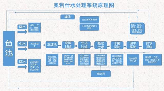 收藏｜锦鲤鱼池传统过滤池的管道布局知识点