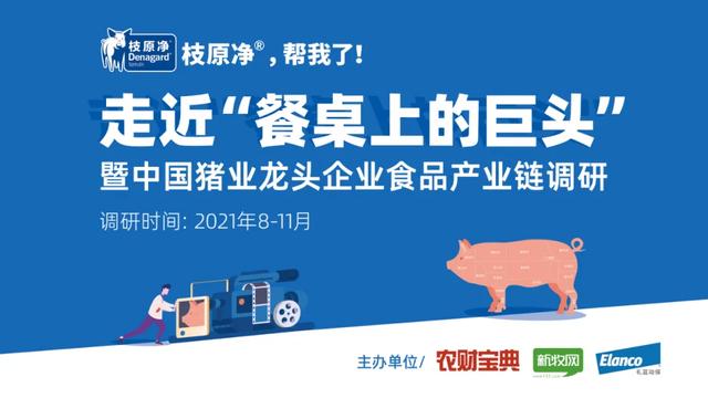 北大猪倌陈生：为什么95%以上做品牌肉的企业都死了？