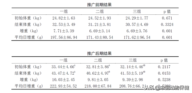 养殖技术：肉羊分阶段育肥方案效果极好，经济效益高