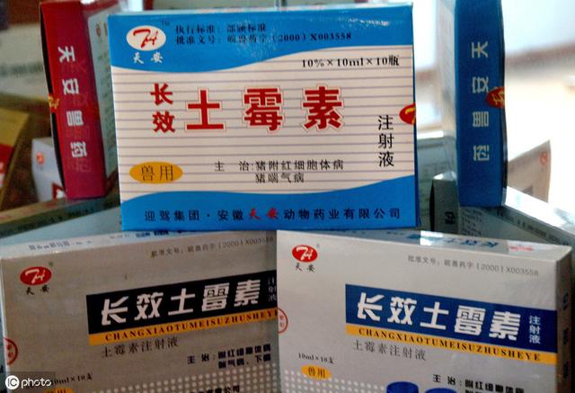 养殖青蛙时，发病或预防请使用正规药，神秘配方和中药你真不会用