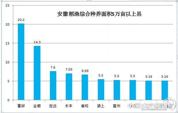 亩产1710斤！小龙虾产业发展迅猛，今年安徽养殖面积再增70万亩！