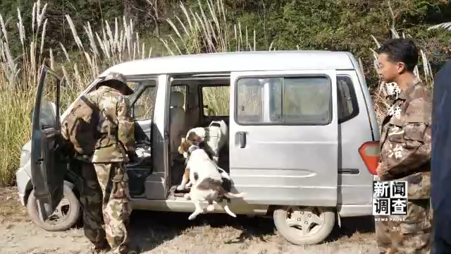 野猪之治 如何维护生态系统动态平衡？