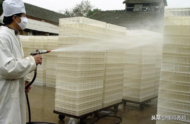 老兽医：家禽八种消毒类型的选药和用法，养鸡人收藏留用