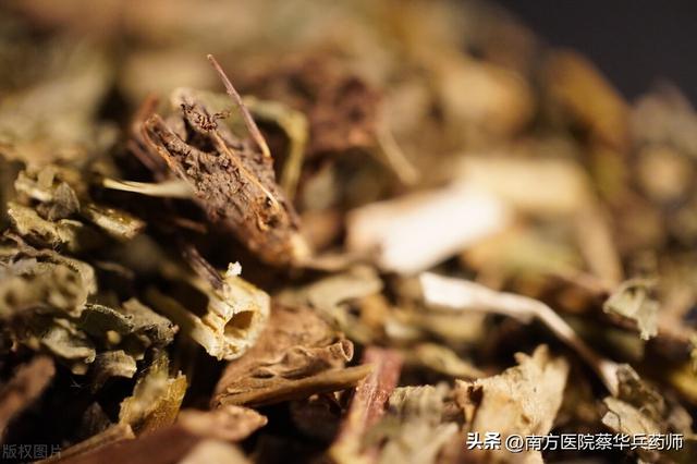 草名龙芽、药名仙鹤：上补肺肝脾，中能消积，下止泻痢，还能止血