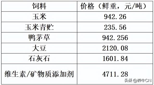 育肥牛日粮管理