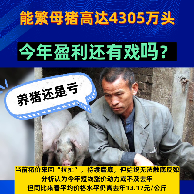 全国能繁母猪高达4305万头！今年盈利还有戏吗？#猪价行情