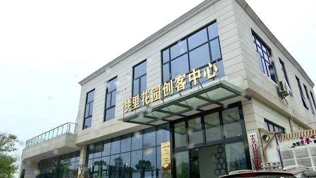 孝昌周巷：新村企共建模式 打造万亩生态茶园