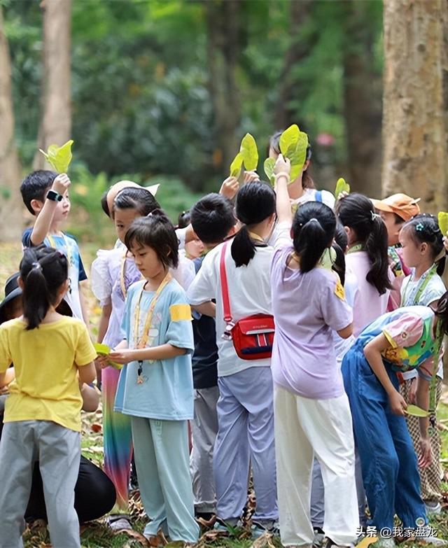 昆明野鸭湖生态科普研学基地9月亮相，让我们一起探秘自然吧！