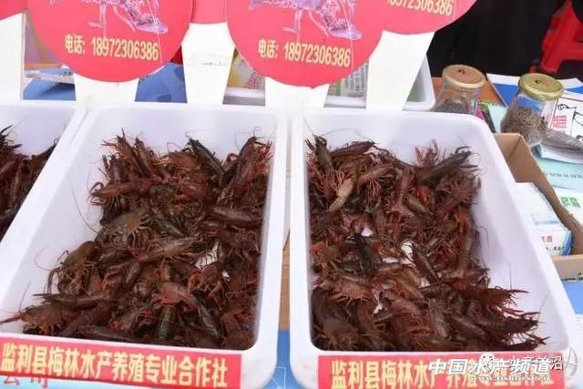 年消费量200万吨，小龙虾还有巨大的市场空间