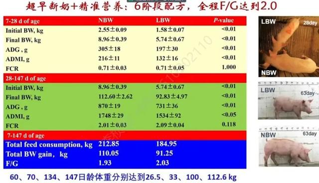 【听课笔记】陈代文教授：生猪高效养殖3F系统营养技术