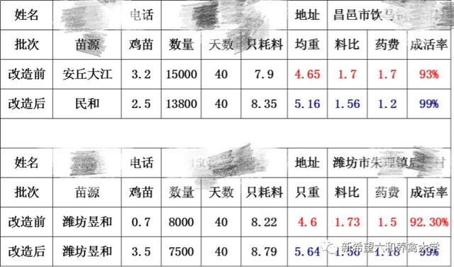 肉鸡舍通风管安装的几点建议