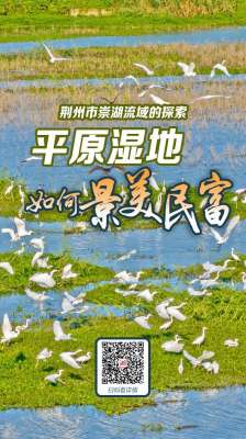 湿地 养殖(深读•探路小流域综合治理④丨平原湿地，如何景美民富)