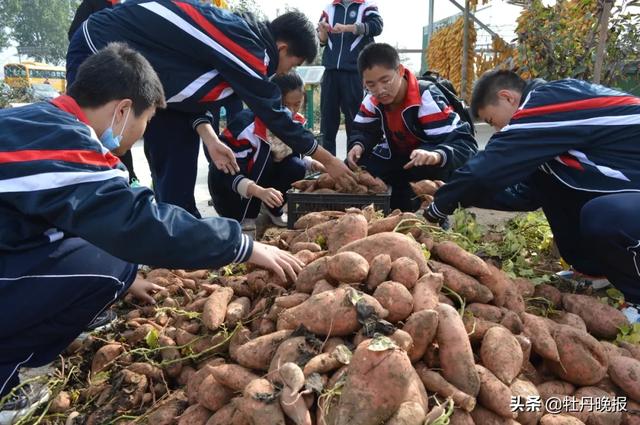 做小农场主 享农耕之乐｜“驴聪聪”亲子农场，打造菏泽农耕文化新名片