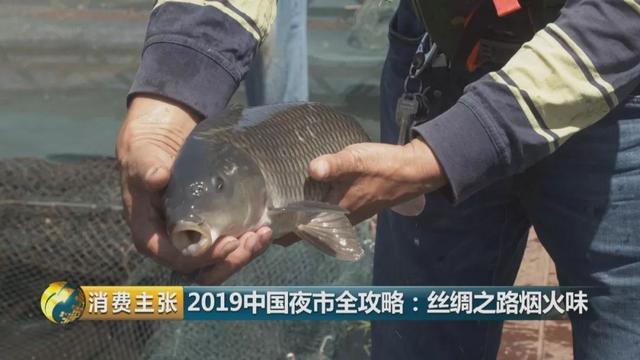 红烧做法的兰州黄河大鲤鱼，天天吃都不会腻