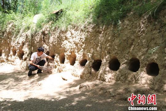 甘肃黄土塬小伙林下养鸵鸟 带领村民致富