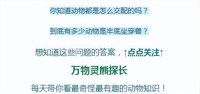 福建女子花60多万养稻蛙，却被全部消杀！只因怀疑她在养殖牛蛙？