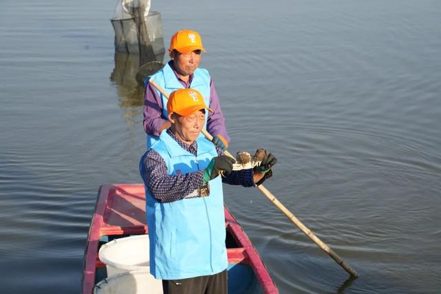 长三角田园五镇开捕节！上海首家专注大闸蟹的BAP认证养殖基地，开启“渔光互补”，打造中国特色BAP品牌！