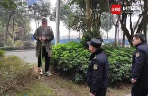 泸州狗狗养殖基地(狗在绿化带排便主人竟想溜 四川泸州一男子被罚款50元)