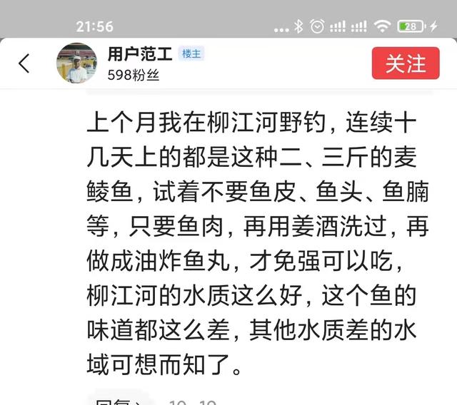 麦鲮鱼惨遭嫌弃，从印度入侵到了中国，却因为没人吃而泛滥成灾