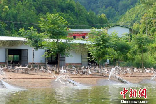 通讯：赣南山区扶贫见闻：绿水青山间的脱贫致富新路