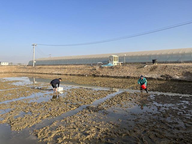 贺兰县：海产品“安家落户” 适水产业“风生水起”