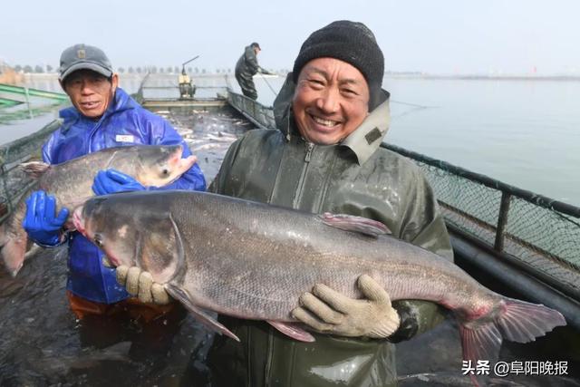 阜阳首次！全面完成，持续4个月