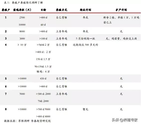 立秋已至，鸡群产蛋率渐入佳境，蛋价下跌风险加剧！