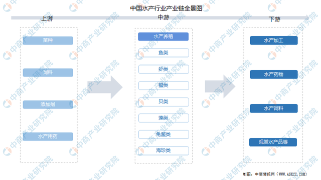 2022年中国水产行业产业链全景图上中下游市场及预测分析