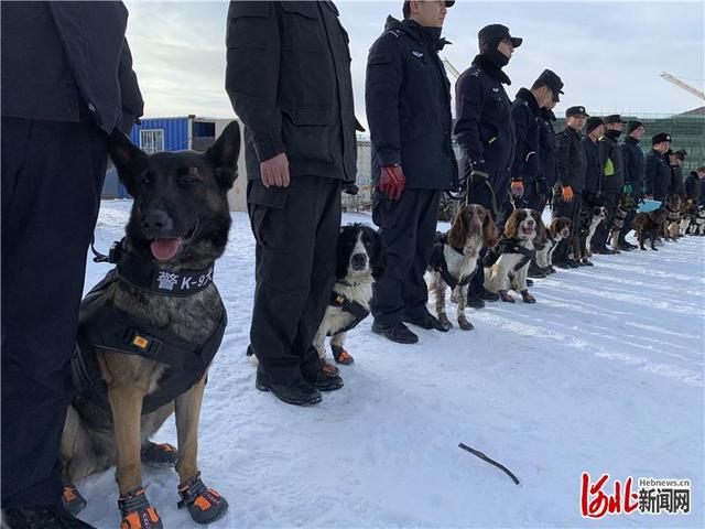 人物｜警界奇兵：警犬训导员和他们的特殊“战友”