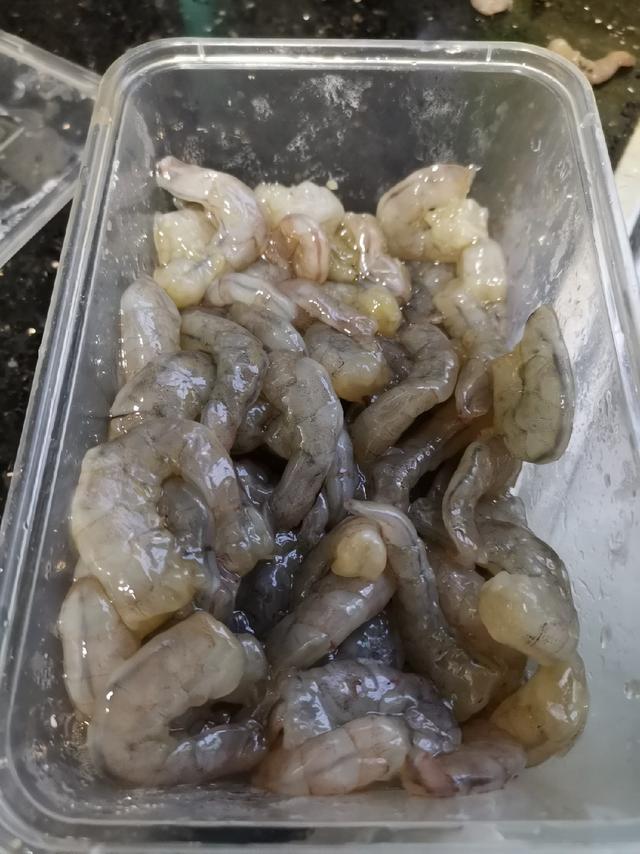 海钓你用什么饵？我用蜜汁腌虾饵 还没空过军