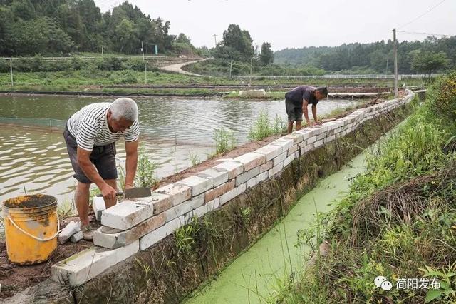 产量位居成都第一、四川第四！简阳这个水产太厉害了！