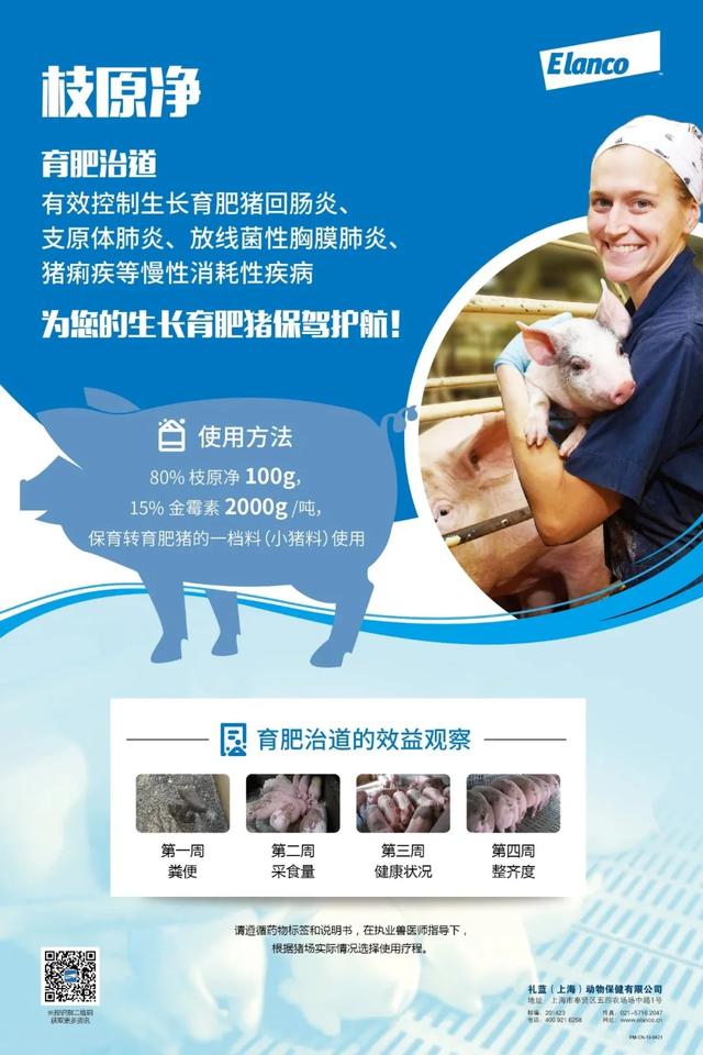 北大猪倌陈生：为什么95%以上做品牌肉的企业都死了？