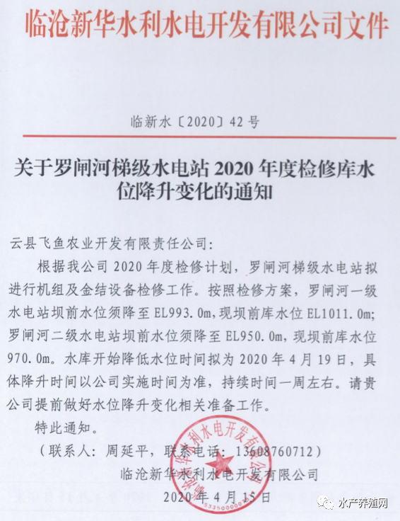 百万斤水库鱼死了，承包户损失600多万元！原因在哪？应该谁来负责？