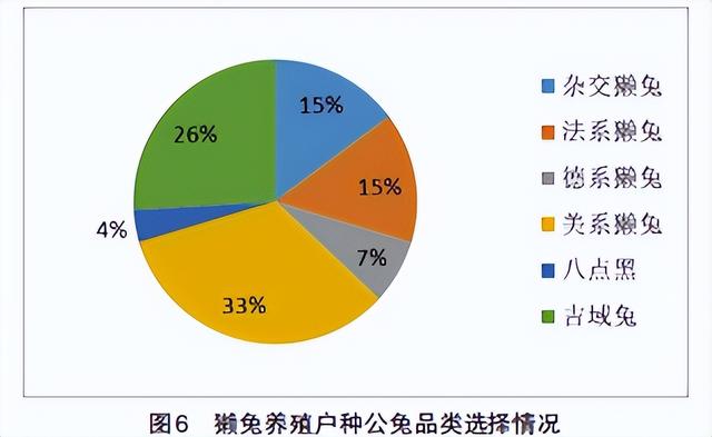 浅谈獭兔饲养管理技术以及常见病害预防措施介绍