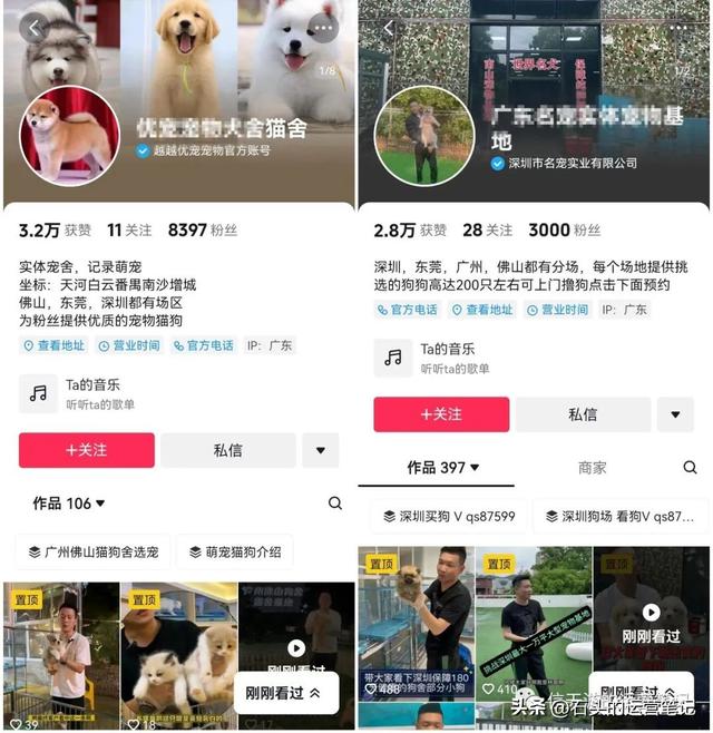 宠物生意爆发！新手无货源也能做的互联网创业项目