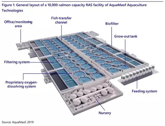 荷兰合作银行积极评价RAS三文鱼养殖业的未来，呼吁全球生产商投资