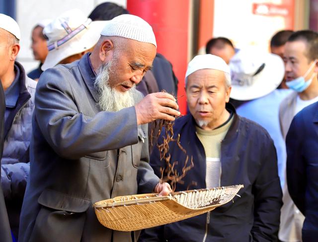 中国最大的冬虫夏草市场—西宁玖鹰虫草市场