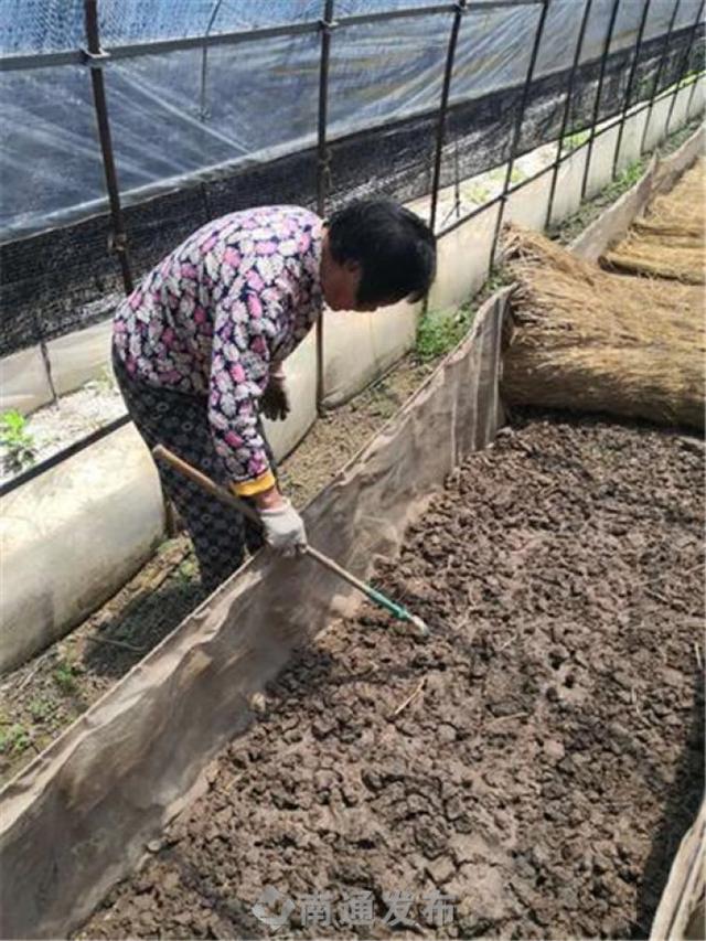 启东市惠萍镇南清河村在扣蟹养殖的基础上，引进水蛭养殖基地