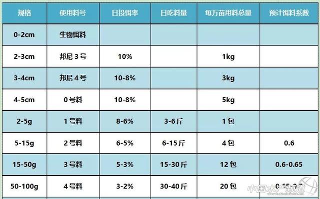 掌握这6个“秘密武器”，华东全程加饲料养殖加州鲈产量还可提高40%