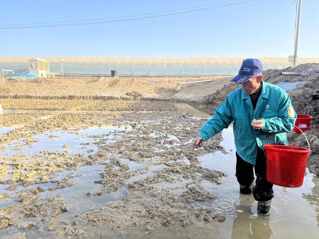 贺兰县：海产品“安家落户” 适水产业“风生水起”