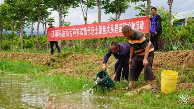 玉溪江川：打造现代健康渔业示范区