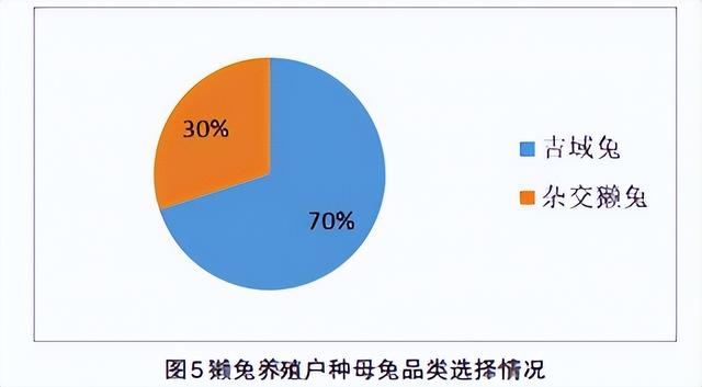 浅谈獭兔饲养管理技术以及常见病害预防措施介绍