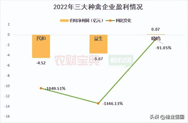 8大上市禽企2022年成绩单出炉！今年一季度画风突转：三大黄鸡巨头亏损近32亿，白鸡鸡苗销售迎来暴涨