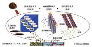 对虾的健康养殖模式(现代化海水养殖模式——多营养层次综合养殖)